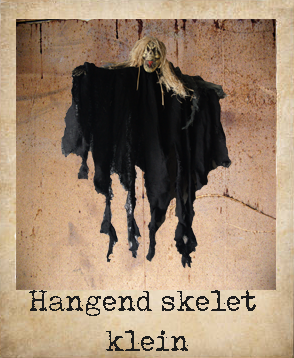 Hangend skelet klein